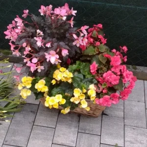 Frühjahr 2018 003.jpg