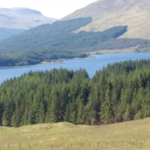 Schottland und Garten 110.jpg