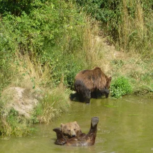 Entspannung Kopie.jpg