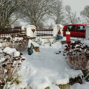 Garten Juli 2018 085.jpg