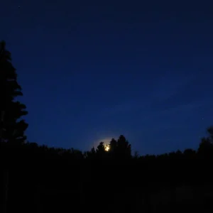 Die Nacht davor Kopie.jpg