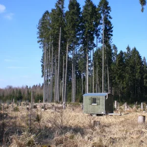 Waldarbeiterhütte.jpg