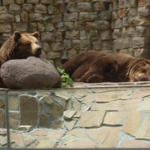 SL381368 (2015_01_26 19_39_25 UTC).JPG