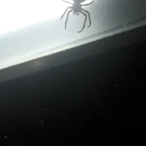 20180819_225602 (1).jpg