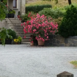 2018-08-24 14.42.03.jpg