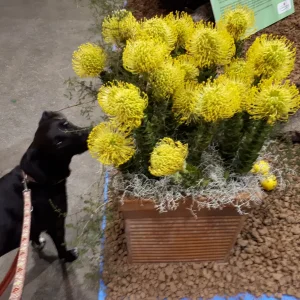 20180903_093857.jpg