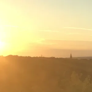F48156F5-97AE-4E63-8ACE-D18BA5472865.png