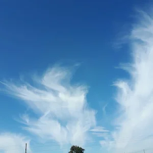 20180909_160242.jpg
