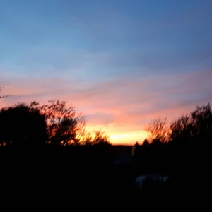 20180911_193749.jpg