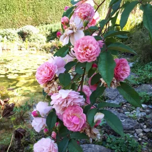 20180912_102705.jpg
