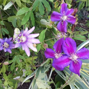 20180907_112307.jpg