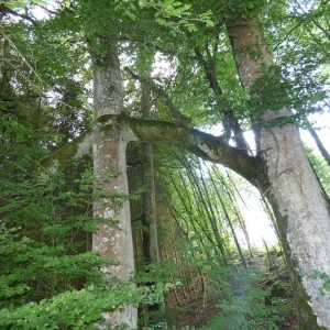 P1080020.jpg