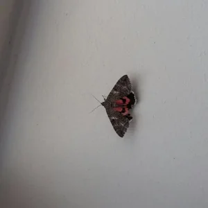 2018-09-16 14.18.02 (1).jpg