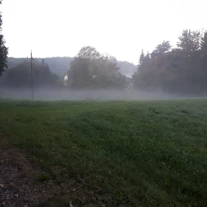 20180918_063849.jpg