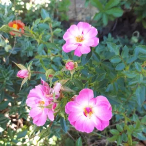 20180918_142042.jpg