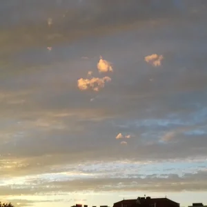 20180923_184737.jpg