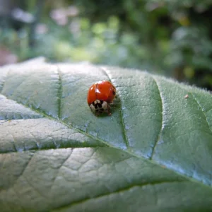 DSCN9496.JPG