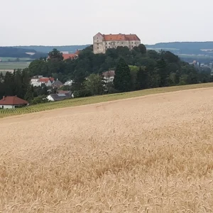20180709_155059-2304x1728.jpg