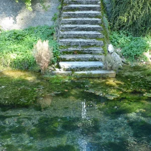 P1350390.JPG