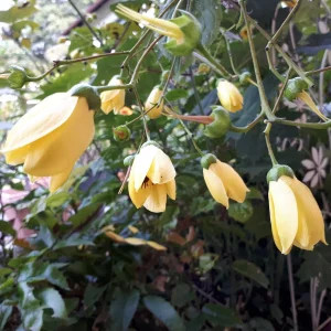 20180922_161715.jpg