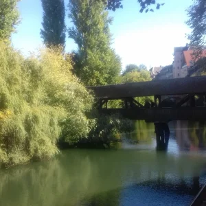 20180929_133904.jpg