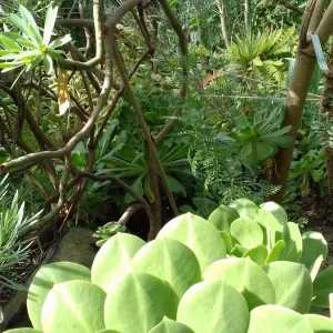 20180926_153047.jpg