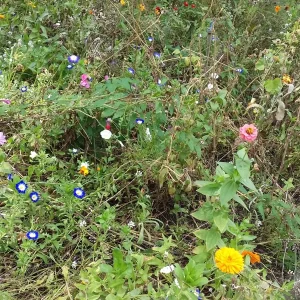 20180926_152319.jpg