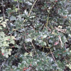 20180926_152036.jpg
