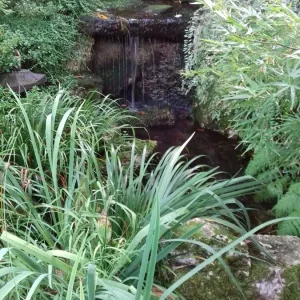 20180928_085718.jpg