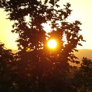 20180928_181940.jpg