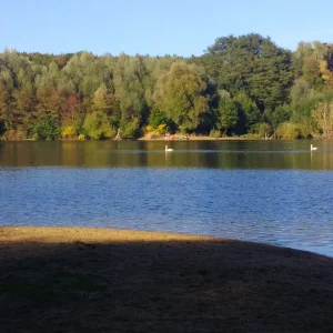 DSC_0153.JPG