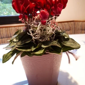 20181007_174127.jpg