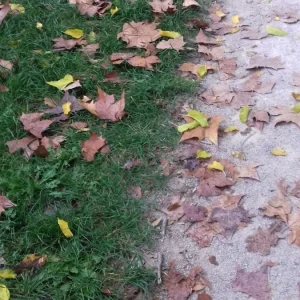 20171020_085541.jpg