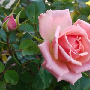 20181008_150302.jpg