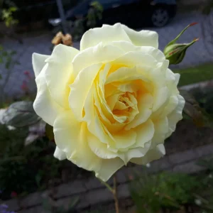20181008_151644.jpg