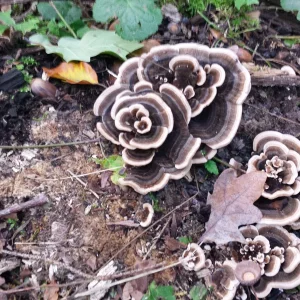 20181009_170026.jpg