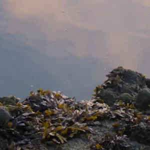 wolkenmeer.JPG