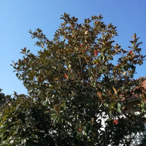 IMG_20181016_150249.jpg
