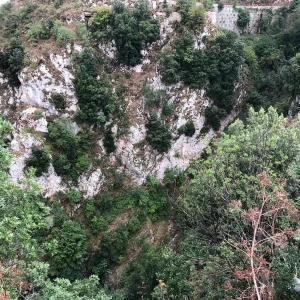 DE437D40-3668-49C7-834D-D7D779F1E22F.jpeg