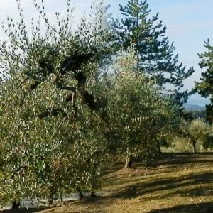 PA120356.JPG
