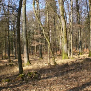 CIMG5746.JPG