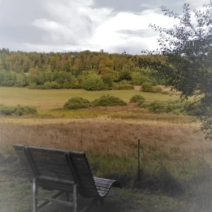Aussicht.jpg