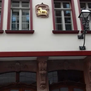 20181031_121133.jpg