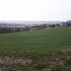 20181103_152828.jpg
