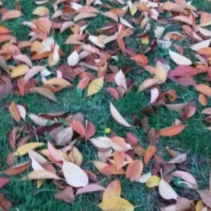 20181104_163258.jpg