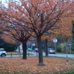 20181104_163428.jpg