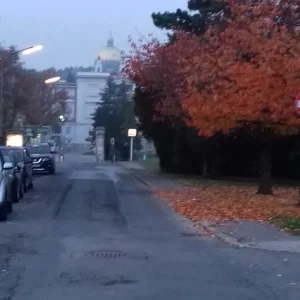 20181104_163510.jpg