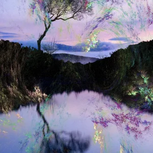 Baum1.png