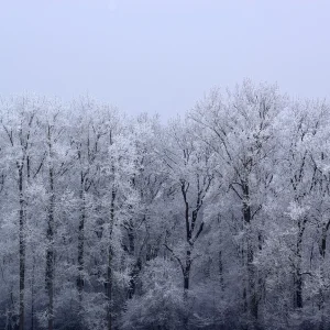 dsc_06487kxqc.jpg