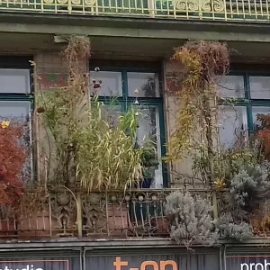 20181110_090840.jpg